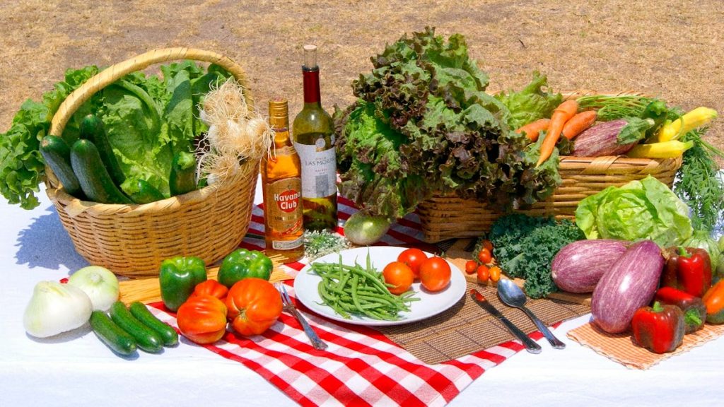 Fresh vegetables and drinks sit on a picnic table
